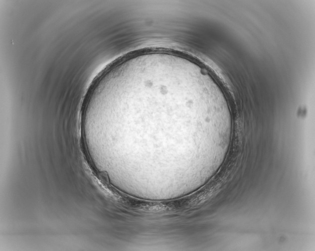 X0000093560791200711051036