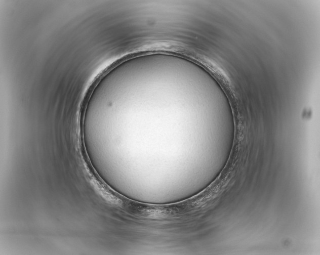 X0000093560792200711051036