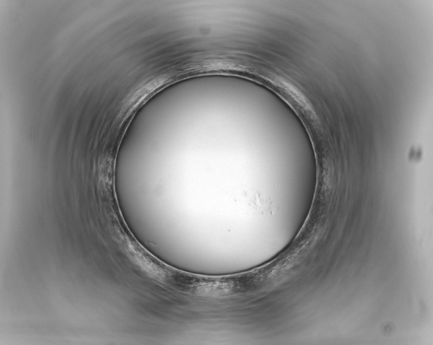 X0000093560793200711051036