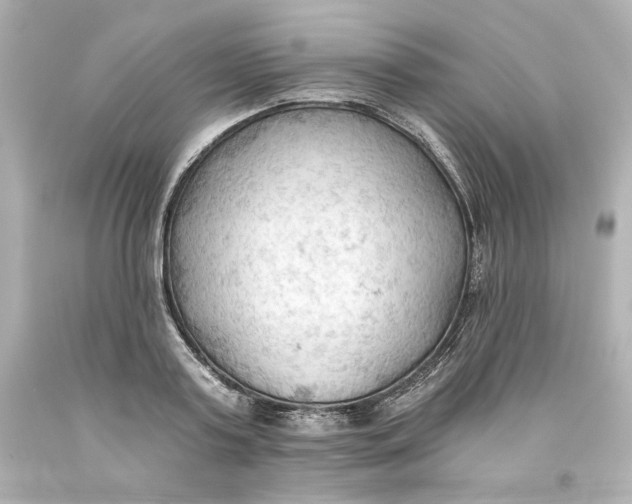 X0000093560795200711051036