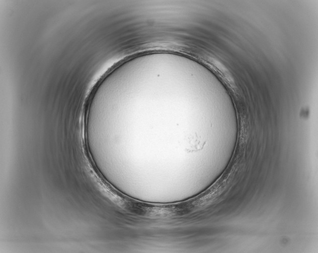 X0000093560796200711051036