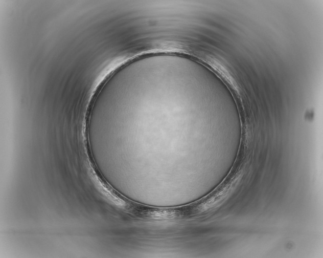 X0000093560797200711051036