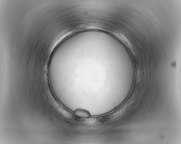 X0000093560798200711051036