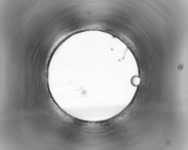 X0000093560800200711051036