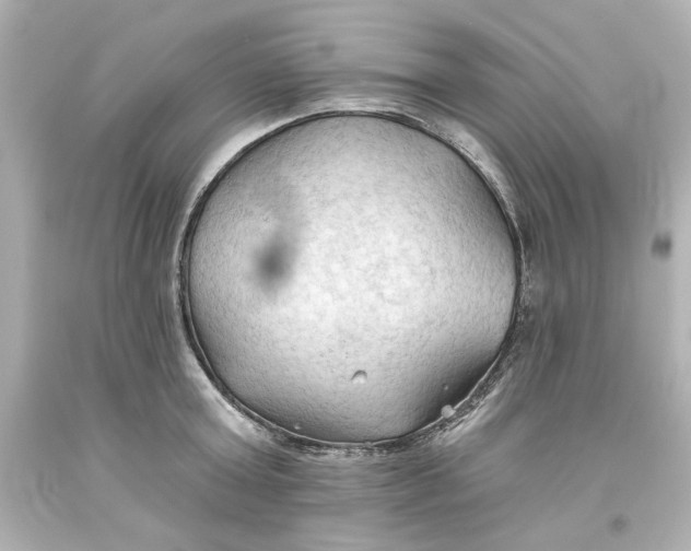 X0000093560803200711051036