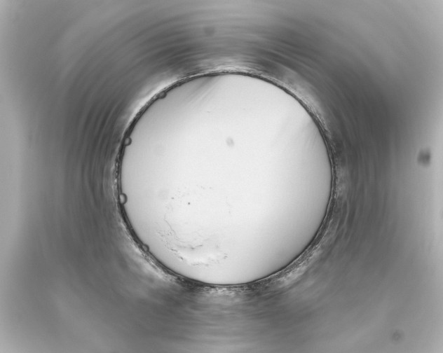 X0000093560806200711051036