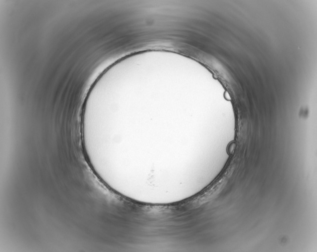 X0000093560808200711051036