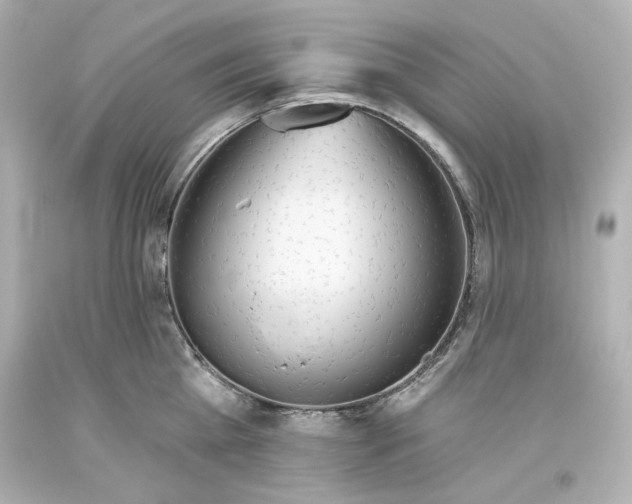 X0000093560809200711051036