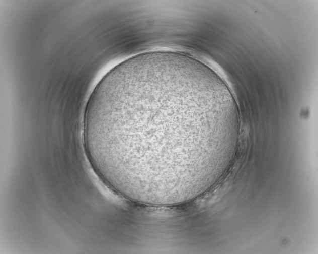 X0000093560811200711051036