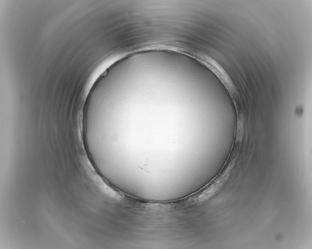 X0000093560812200711051036