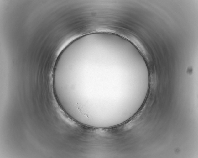 X0000093560814200711051036