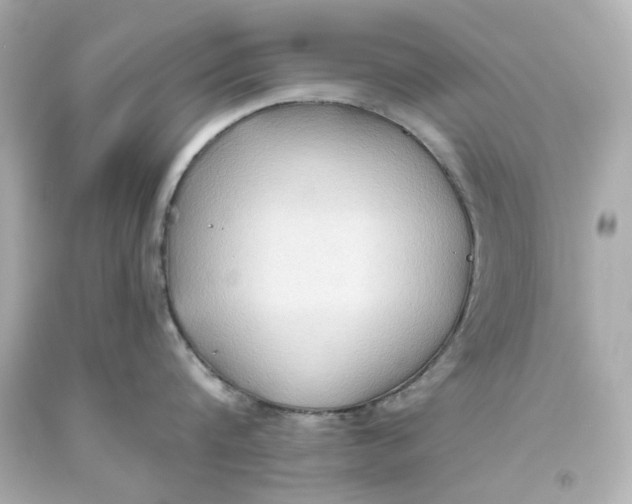 X0000093560816200711051036