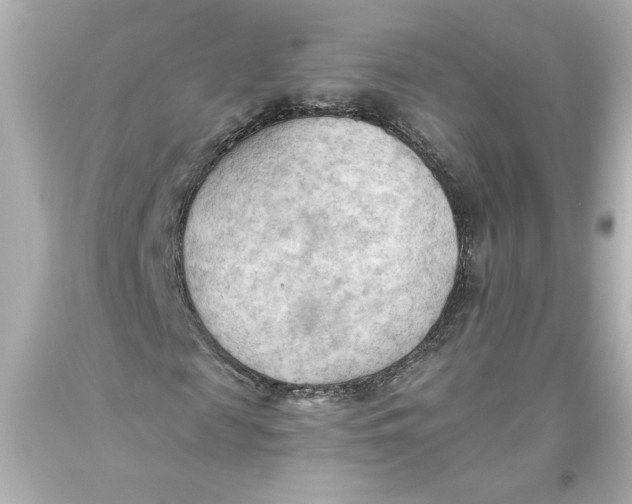 X0000093560817200711051035