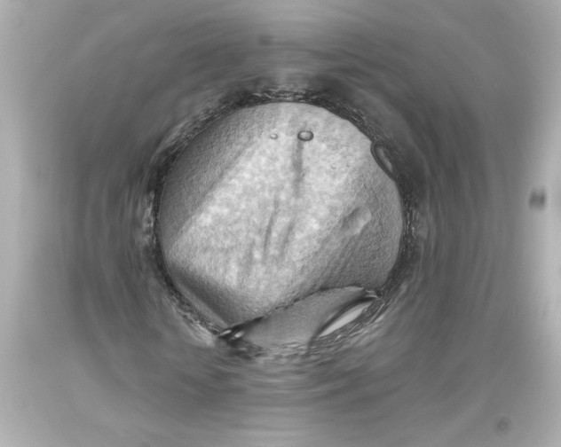 X0000093560818200711051035