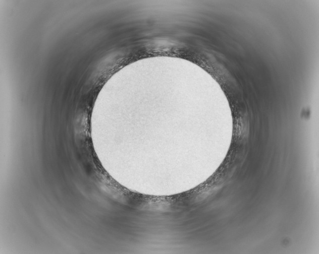 X0000093560820200711051035