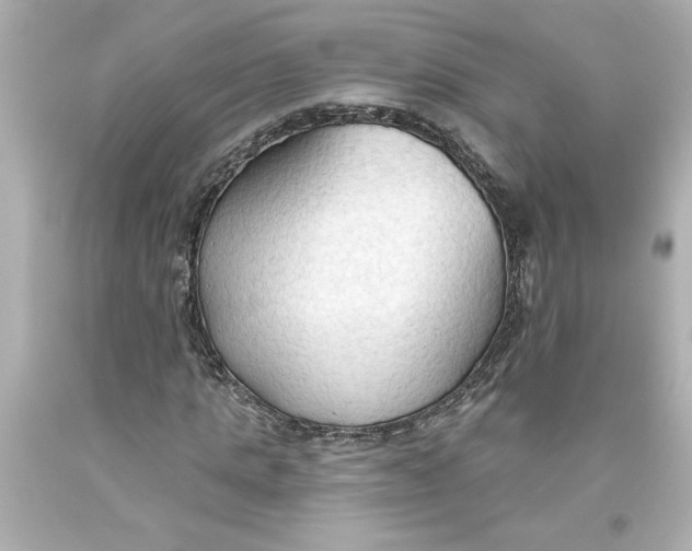 X0000093560821200711051035