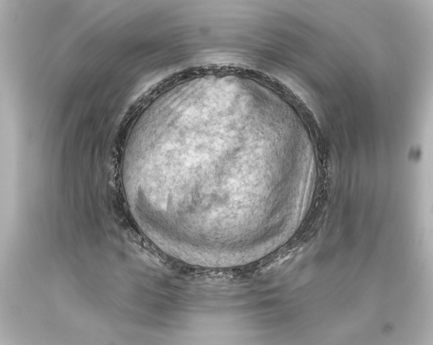 X0000093560823200711051035