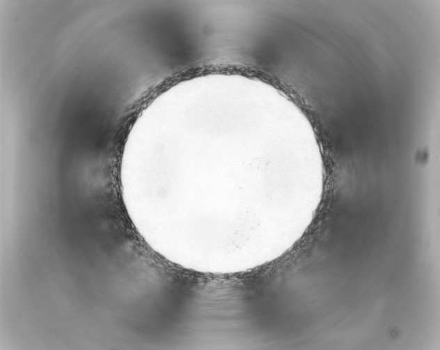 X0000093560824200711051035