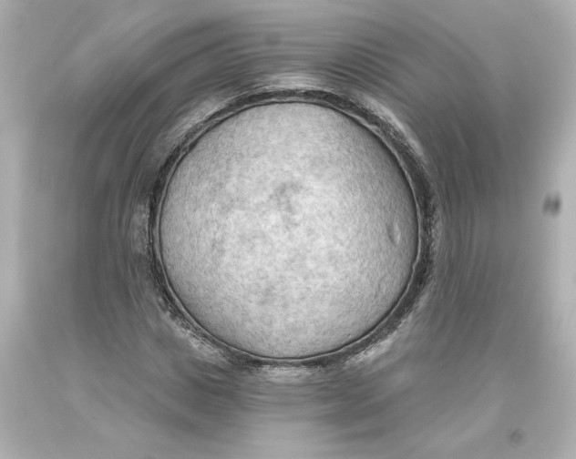 X0000093560825200711051035