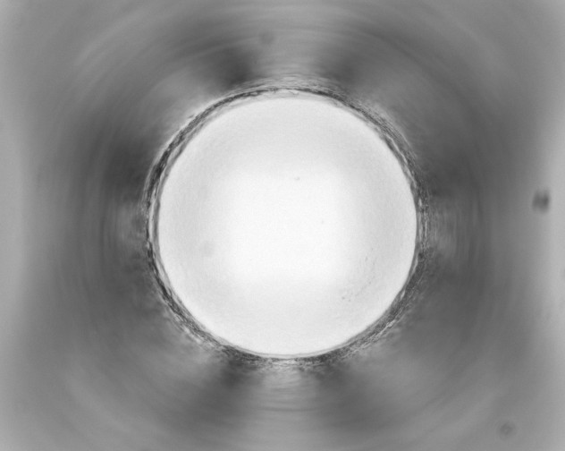 X0000093560828200711051035