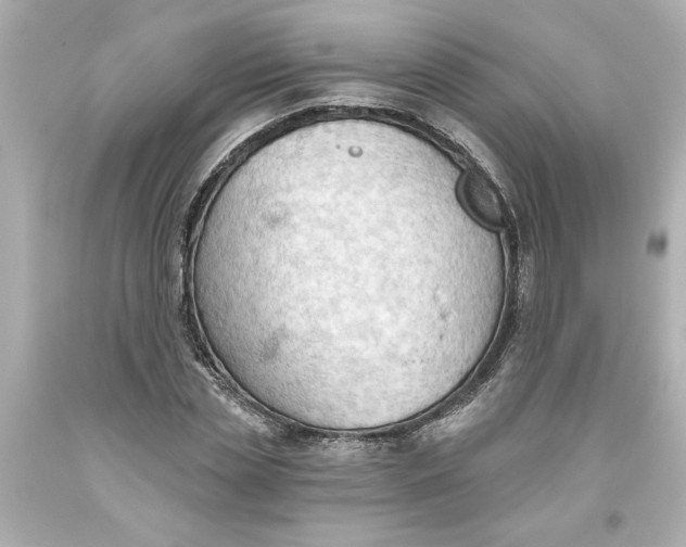 X0000093560829200711051035