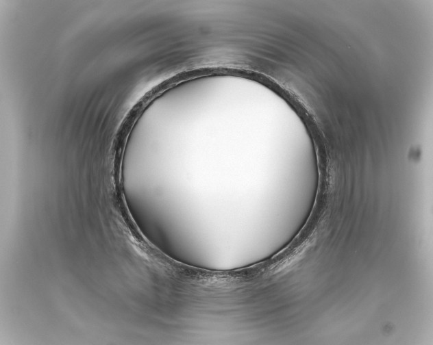 X0000093560830200711051035