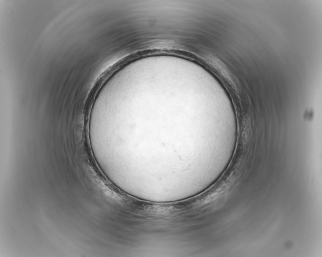 X0000093560831200711051036