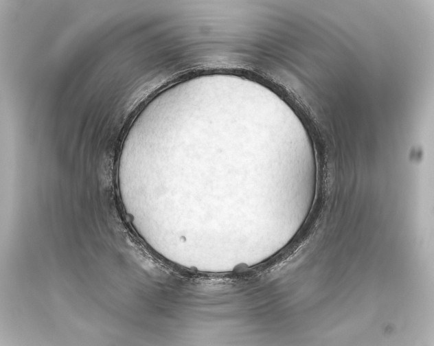 X0000093560833200711051036