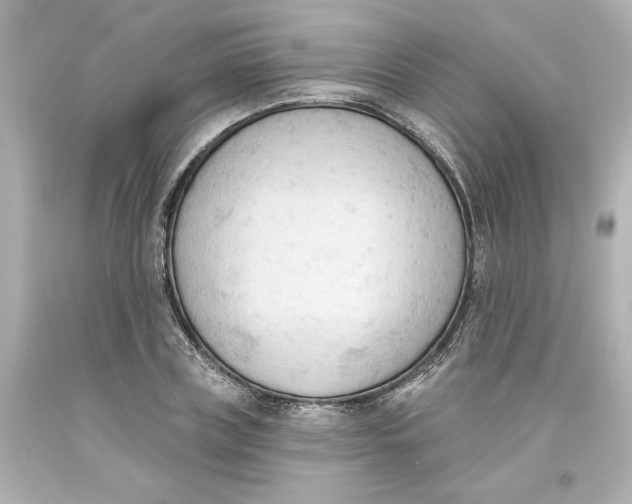 X0000093560835200711051036