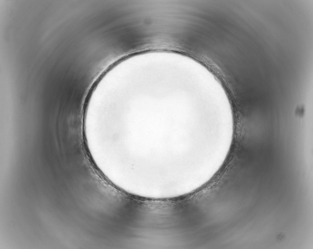 X0000093560836200711051036