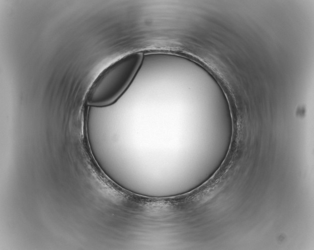 X0000093560838200711051036