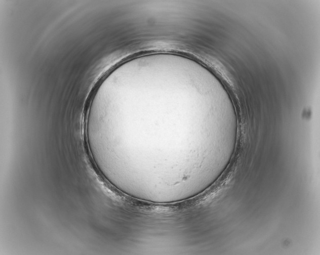 X0000093560839200711051036