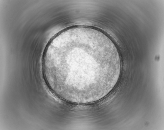 X0000093560840200711051036