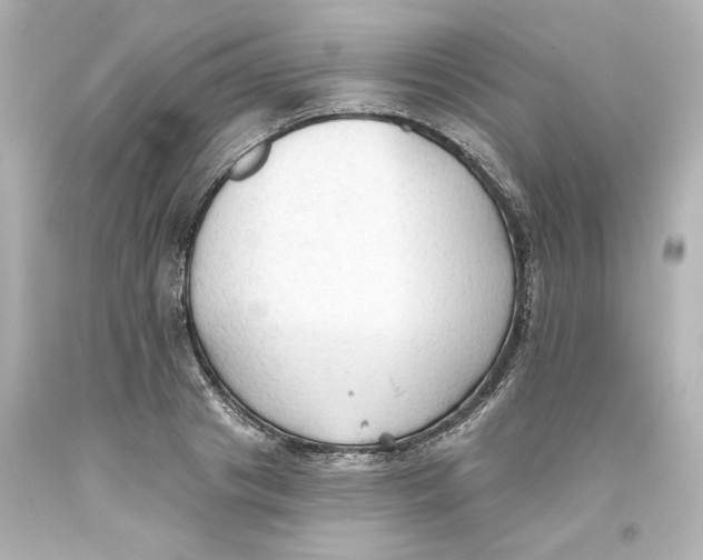 X0000093560841200711051036