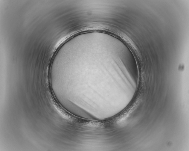 X0000093560842200711051036