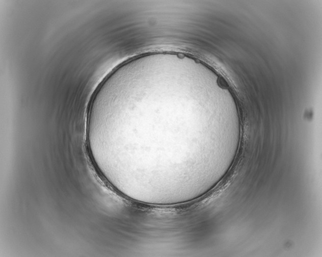 X0000093560844200711051036