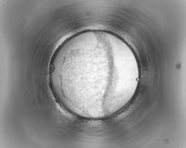 X0000093560845200711051036