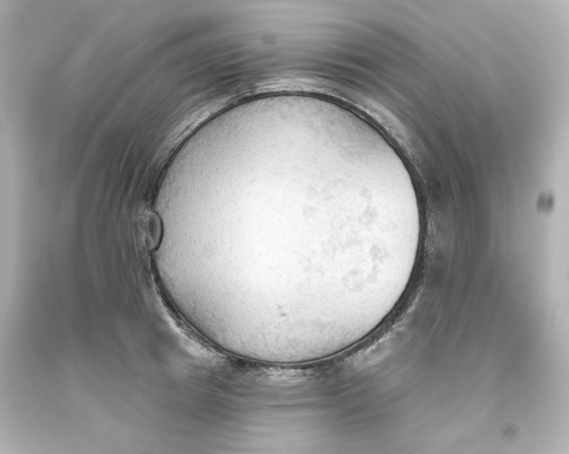 X0000093560849200711051036