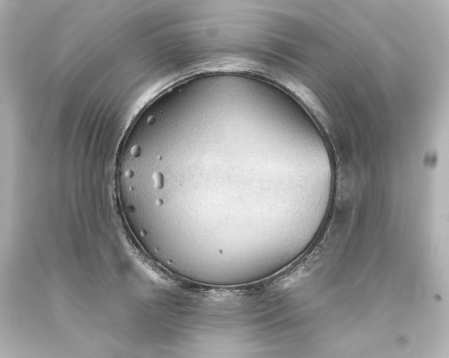 X0000093560850200711051036