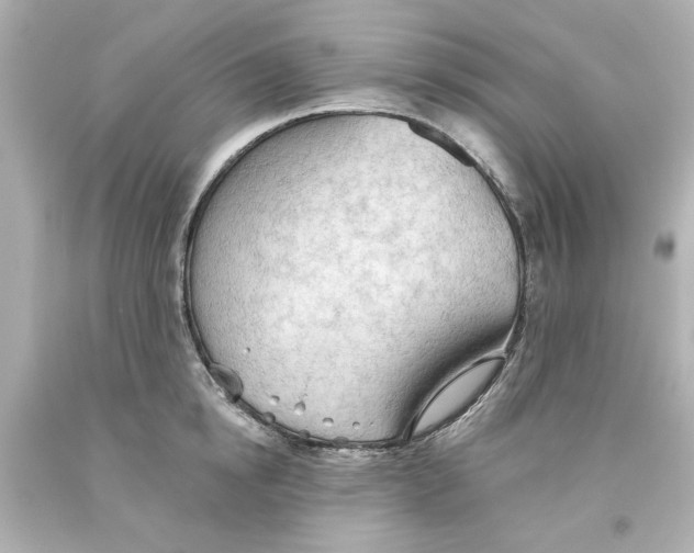 X0000093560854200711051036