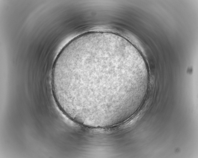 X0000093560855200711051036