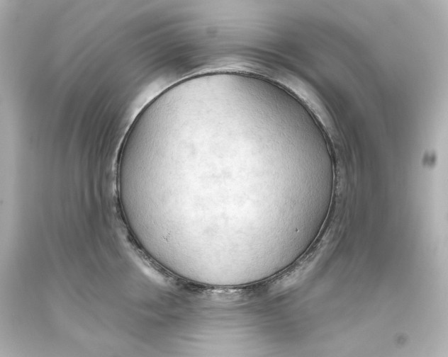 X0000093560858200711051036