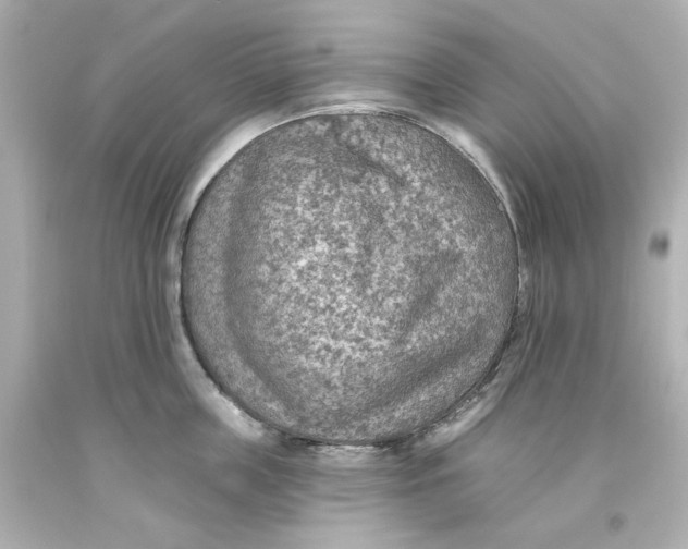 X0000093560859200711051036