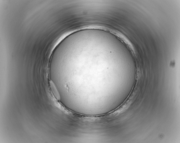 X0000093560860200711051036