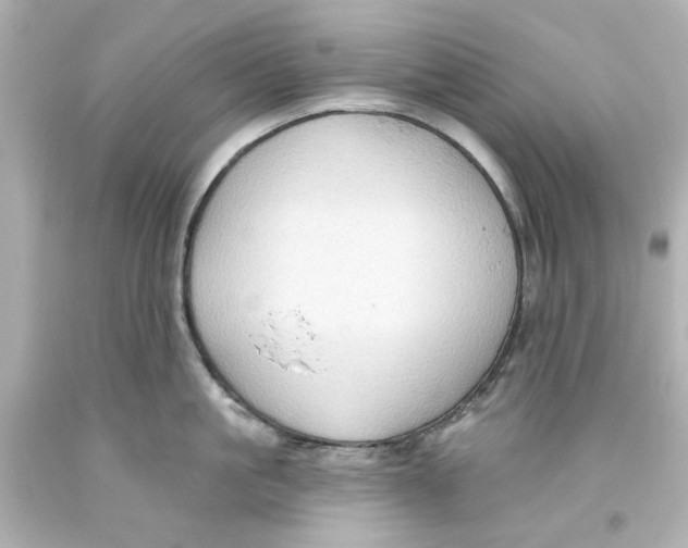 X0000093560861200711051036