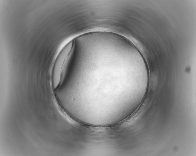 X0000093560862200711051036