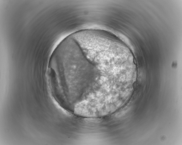 X0000093560863200711051036