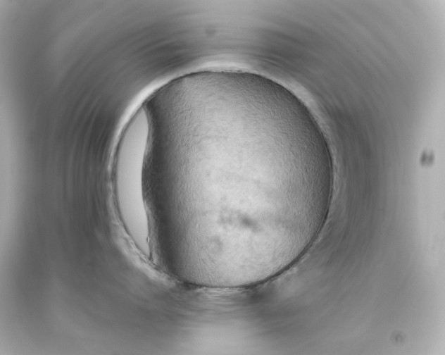 X0000093560864200711051036