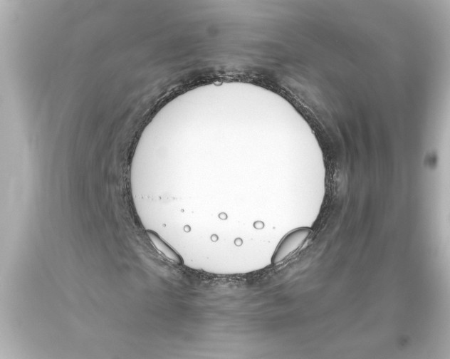 X0000093560865200711051035