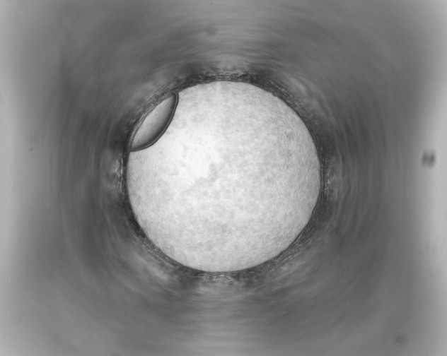 X0000093560866200711051035